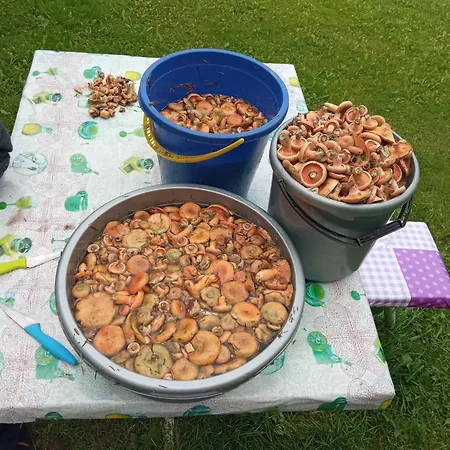 Alloggio in famiglia U Roberta Węgorzewo