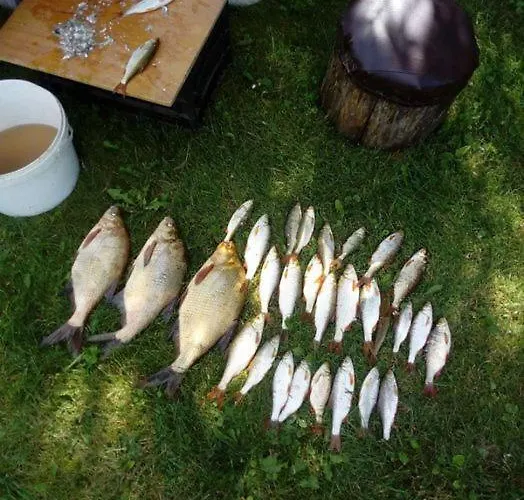 Alloggio in famiglia U Roberta