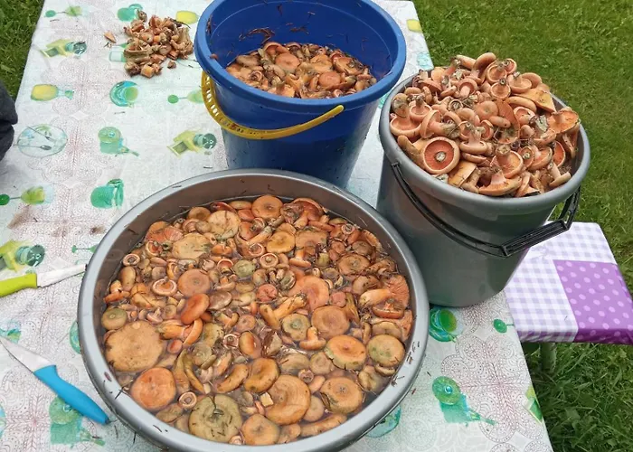 Alloggio in famiglia U Roberta Węgorzewo